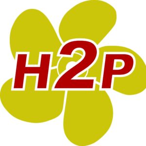 Hull 2 Prop Logo.jpg